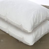 Set Of 4 Down Alternative Standard Pillow (RPT)