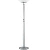 Rexford Floor Lamp w/Remote Control LS-9920PS/FRO (LS)