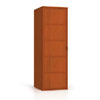 1-Door Wardrobes Miami SB-910(ACE)