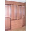Reach In Closet Model # 2 (VF)