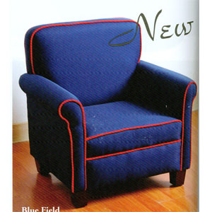 Blue Field Kids Chair 10063 (A)