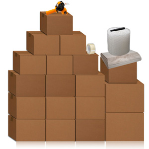 10+ Room Professional Moving Kit 13960365(OFS467)