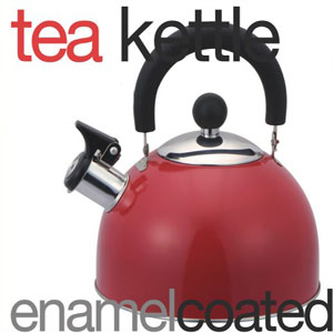 Enamel Coated Tea KettleTK10349(HDS)